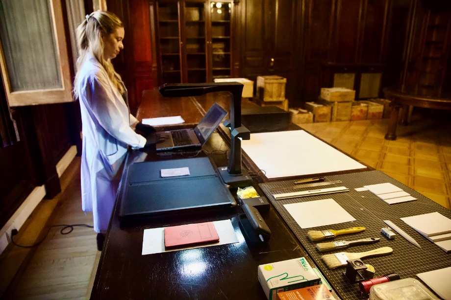 Análisis y clasificación del material hallado.